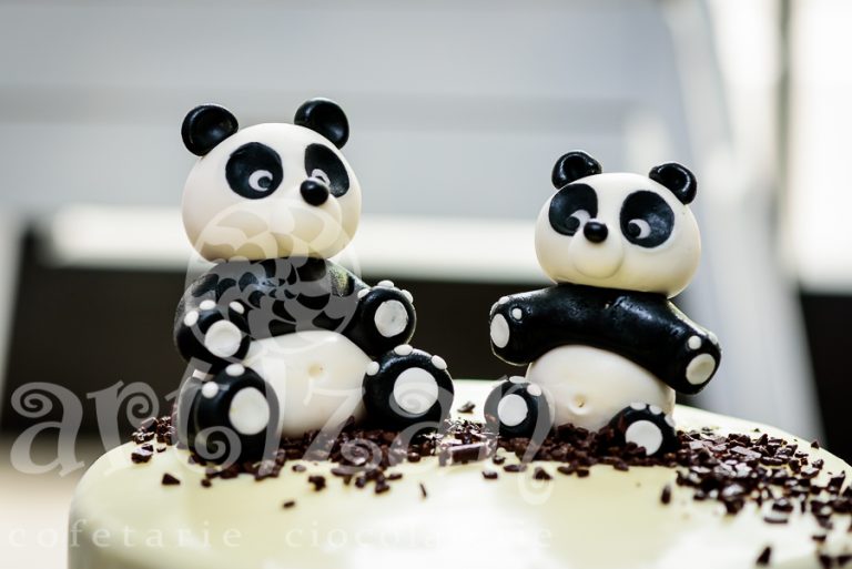 Tort aniversar – „Panda Twins” 1