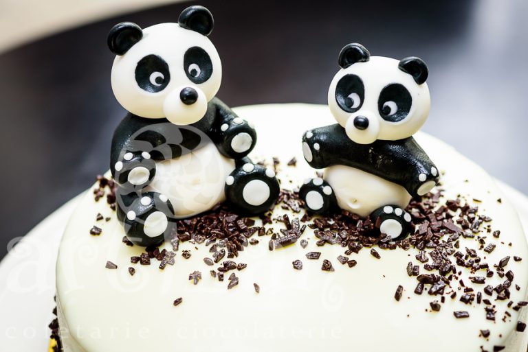 Tort aniversar – „Panda Twins” 1