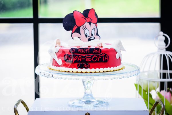 Tort aniversar - Maya-Sofia 1 an