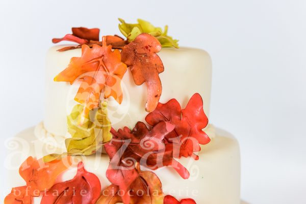 Tort de nunta "Rusty Autumn" - imagine 3