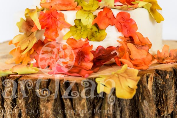 Tort de nunta "Rusty Autumn" - imagine 5