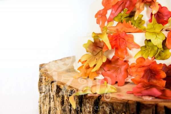 Tort de nunta "Rusty Autumn" - imagine 6