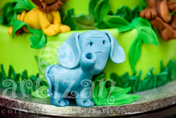 Tort de Botez - "Safari" - imagine 3