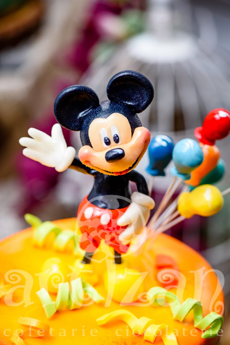 Tort aniversar – Pluto & Mickey 1