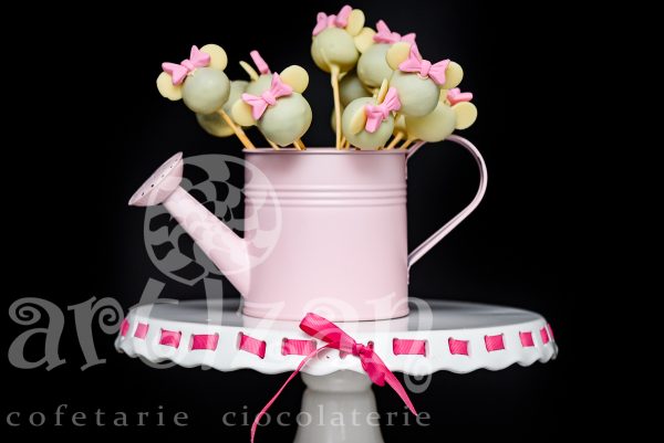 Cake pops - imagine 14