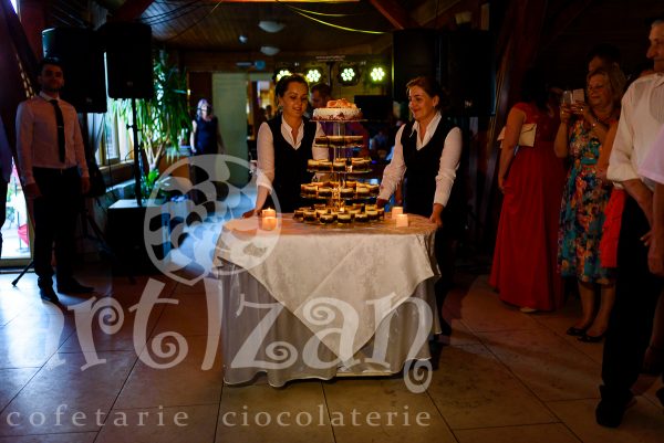 Torturi monoporții - imagine 20