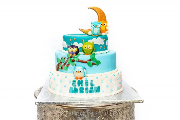 Tort de Botez "Bufnite"