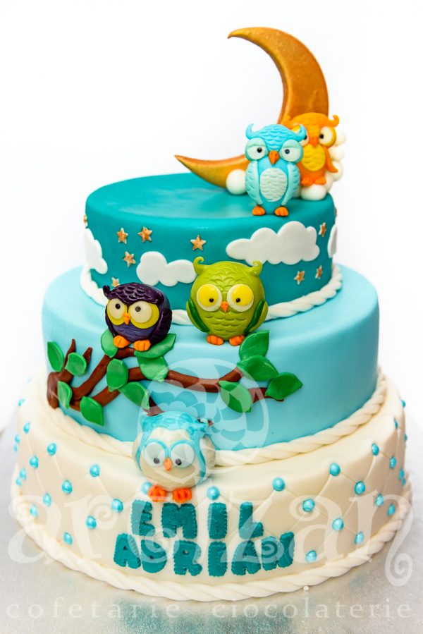 Tort de Botez "Bufnite" - imagine 5