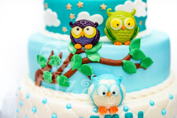 Tort de Botez "Bufnite" - imagine 4