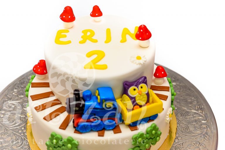 Tort Aniversar „Erin” 1