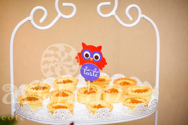 Mini tarte - imagine 8