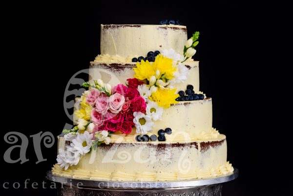Tort de Nunta "Naked"