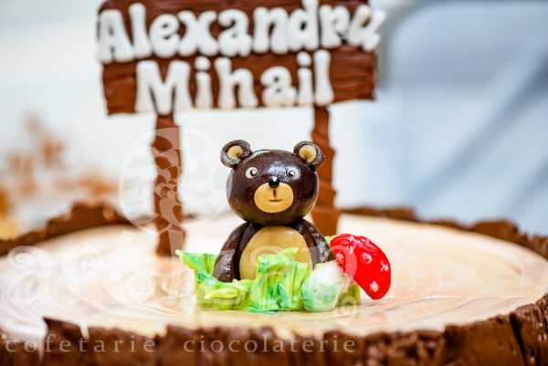 Tort de Botez "Alexandru Mihail" - imagine 5