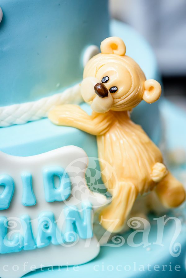 Tort de Botez "David Emilian" - imagine 4