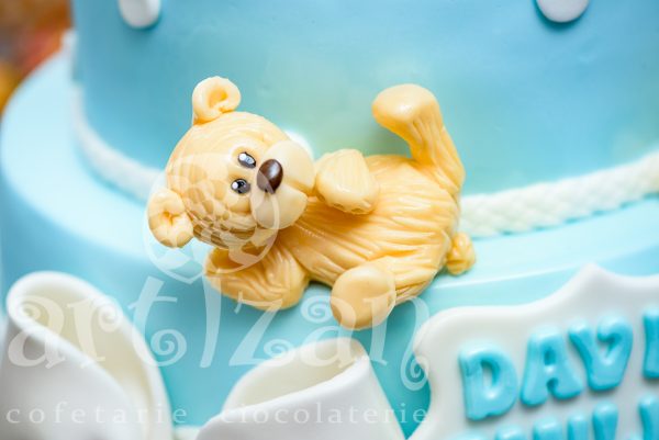 Tort de Botez "David Emilian" - imagine 5