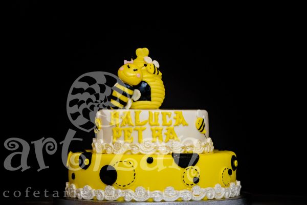Tort de Botez "Raluca Petra"