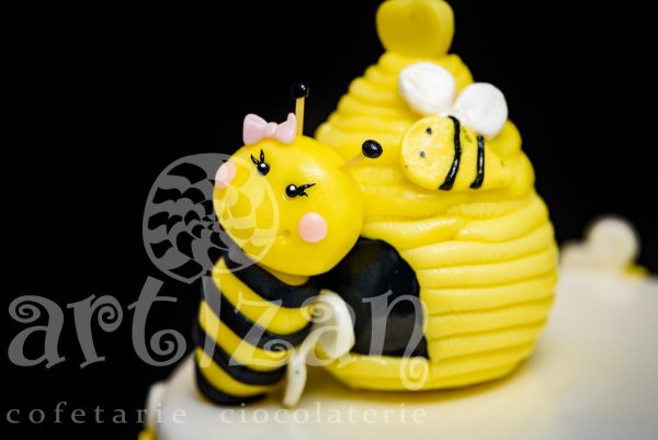 Tort de Botez "Raluca Petra" - imagine 4