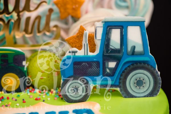 Tort Aniversar "Tractoras" - imagine 3