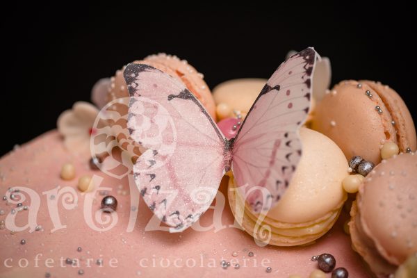 Tort de Botez "Fluturi" - imagine 5