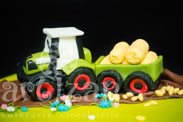 Tort Aniversar "Ioan" - imagine 3