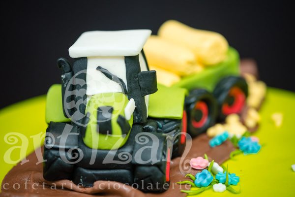 Tort Aniversar "Ioan" - imagine 4