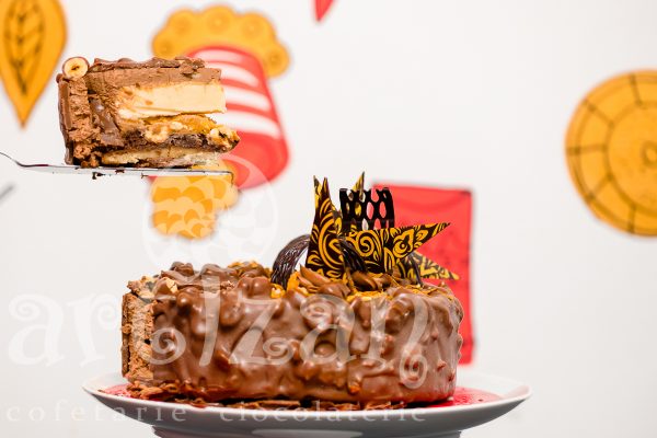 Tort ALUNET - imagine 3