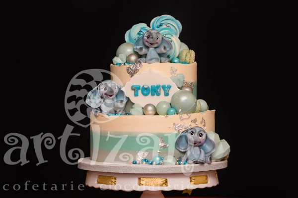 Tort de Botez "Tony"