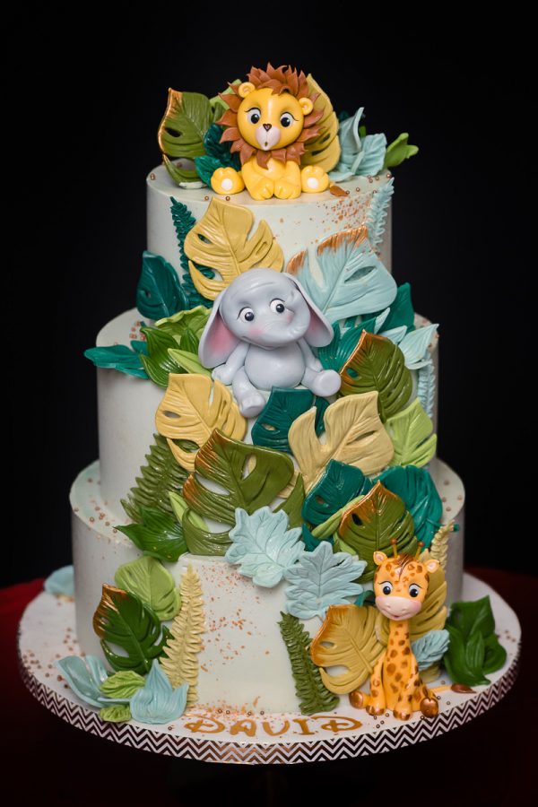 Tort de Botez "Jungle" - imagine 2